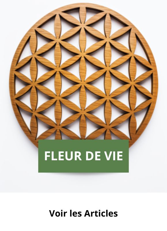 fleur de vie en bois