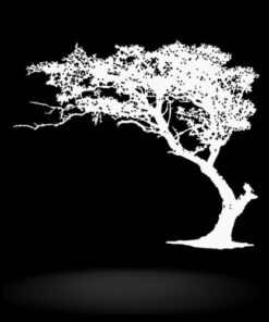 grand sticker arbre de vie blanc sur un mur noir